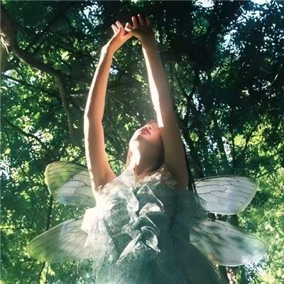 艾尔莎与弗雷德