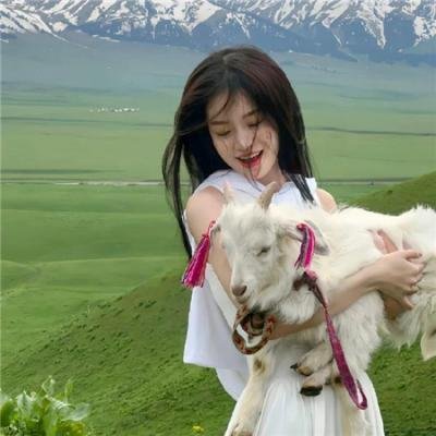 丽人保镖之IT狂人